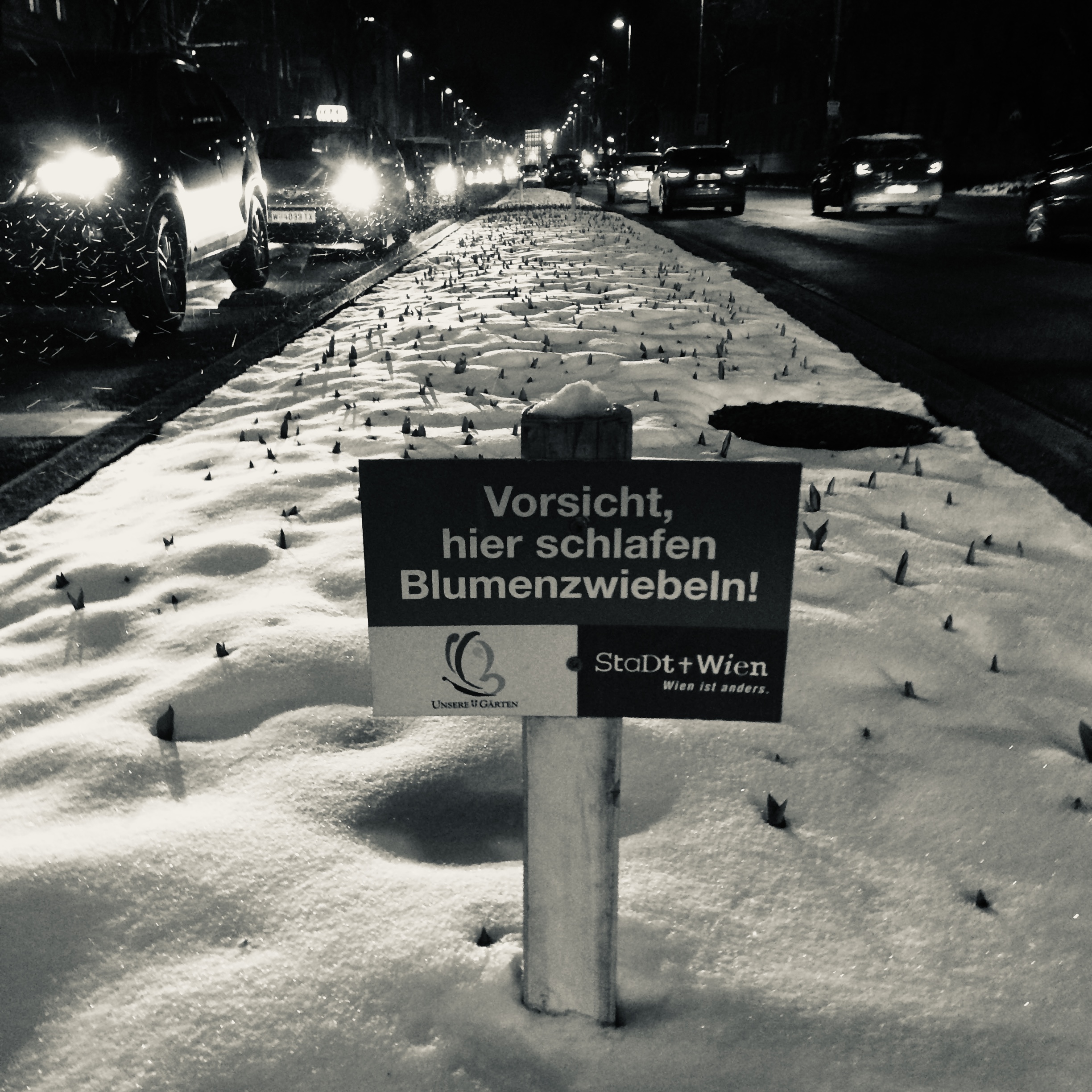 Retten wir wirklich das Klima? Oder beruhigen wir nur unser Gewissen?